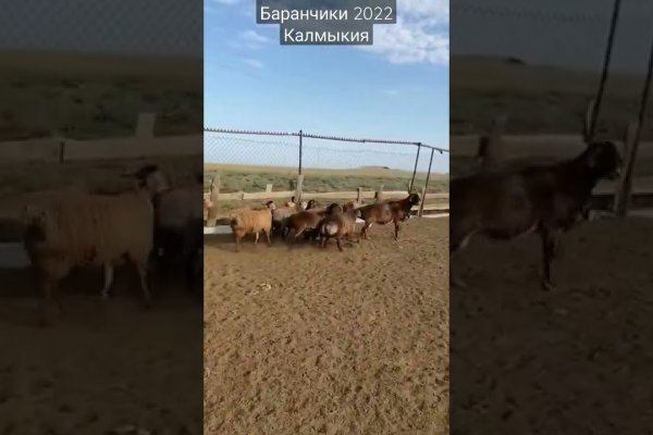 Kra38.cc Вход на сайт главная страница